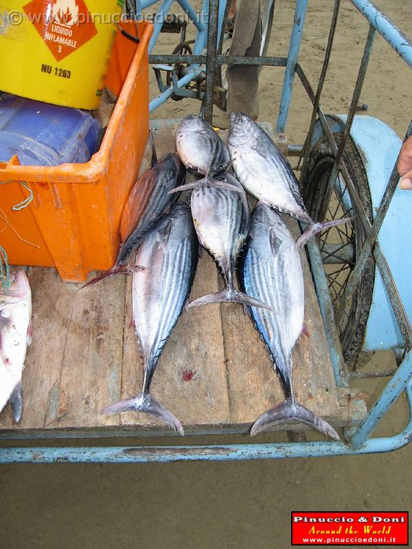 ECUADOR - Puerto Lopez - 32.jpg